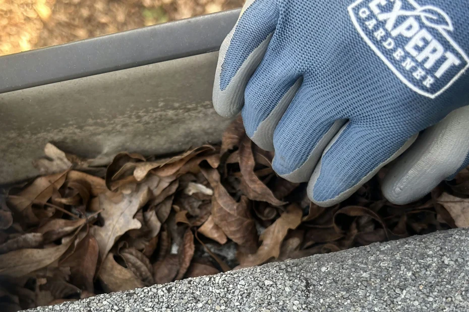 Gutter Cleaning Atlantic Beach