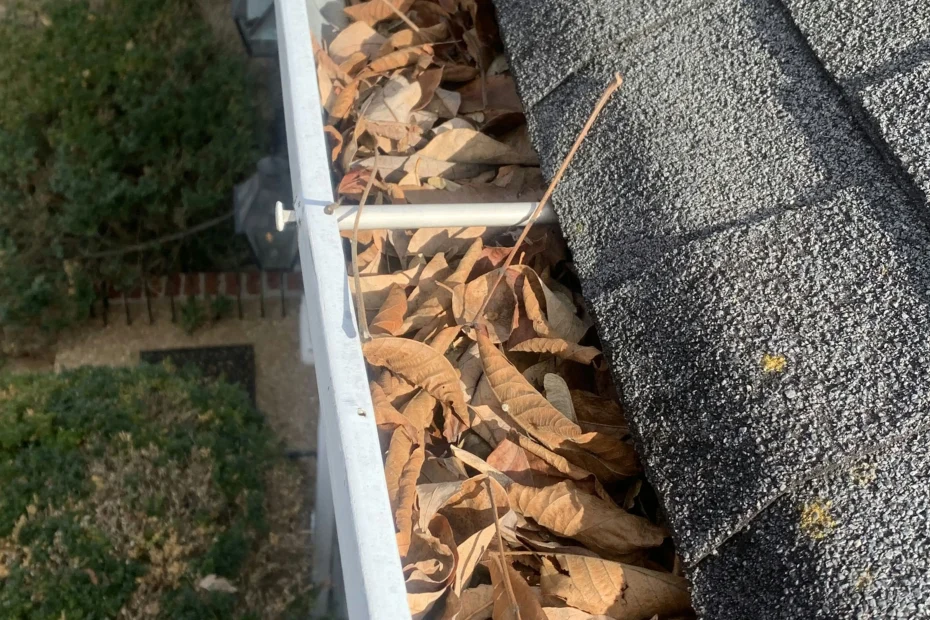 Gutter Cleaning Atlantic Beach